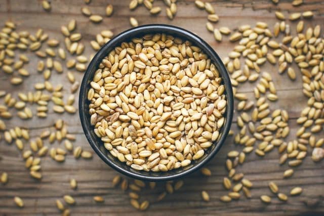 Barley